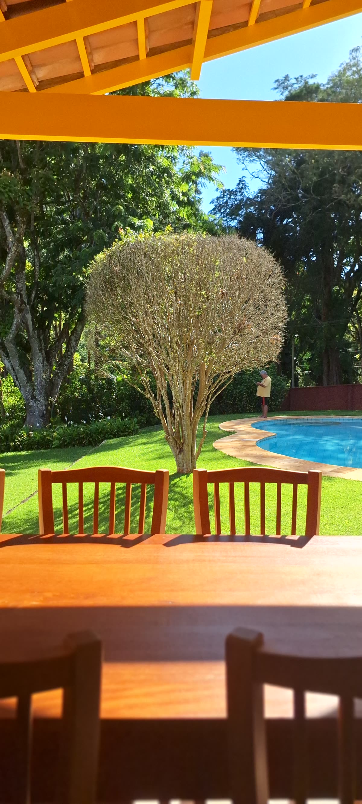 Residência contemporânea em vidro e jardim vertical na Região Serrana